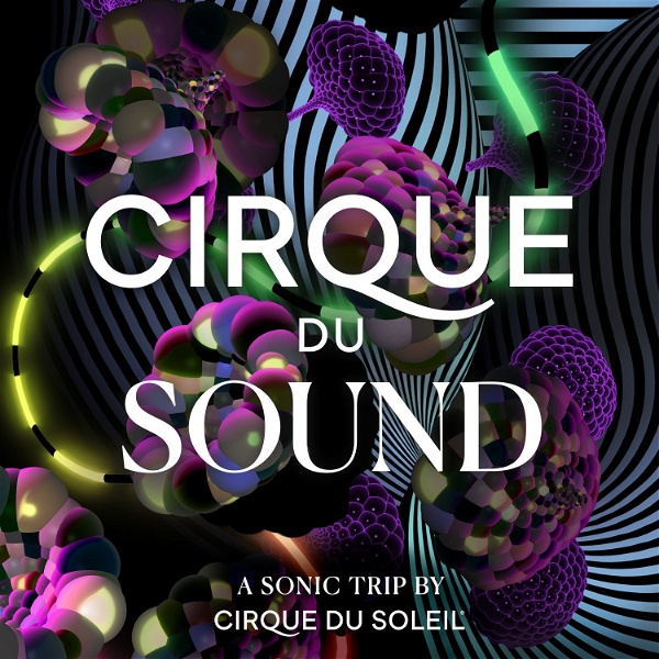 Artwork for Cirque du Sound