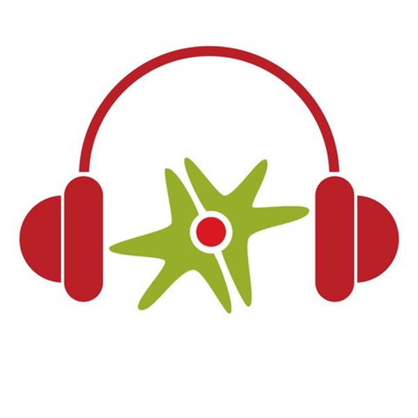 Artwork for CISU Mellem Ørerne