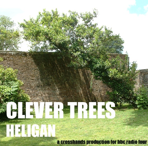 Artwork for Clever Trees