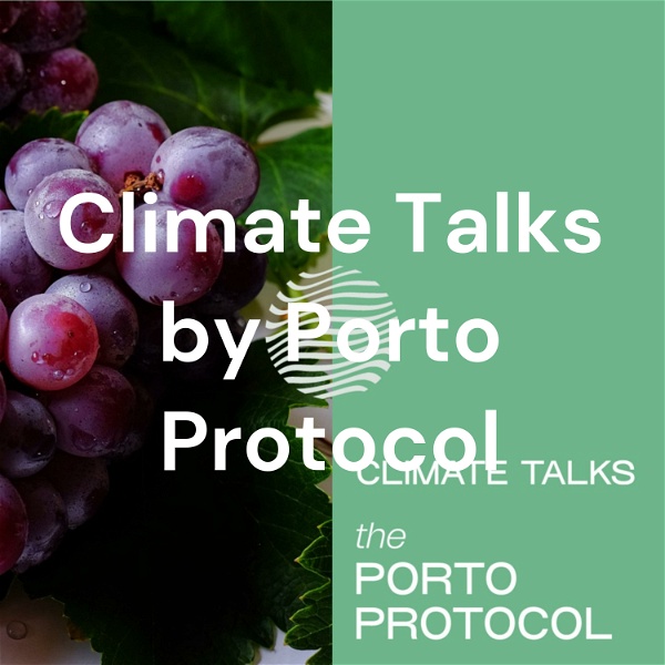 Artwork for Climate Talks by Porto Protocol