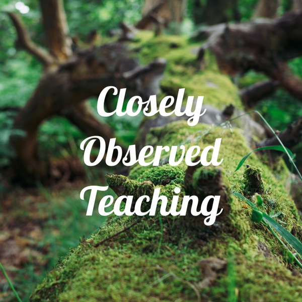 Artwork for Closely Observed Teaching