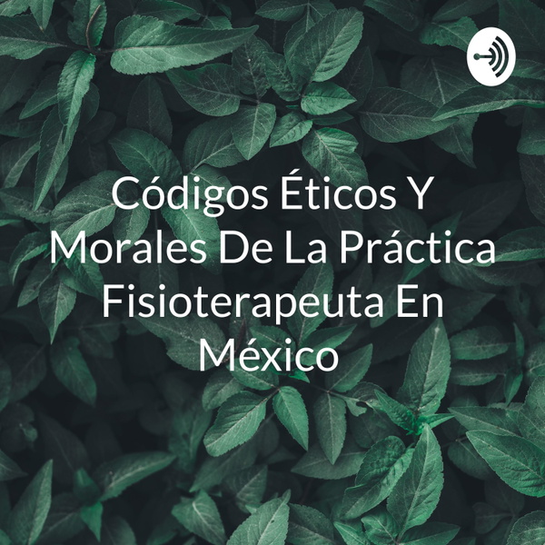 Artwork for Códigos Éticos Y Morales De La Práctica Fisioterapeuta En México