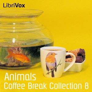 Artwork for Coffee Break Collection 008