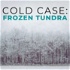 Cold Case: Frozen Tundra