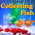 Collecting Fish