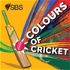 Colours of Cricket