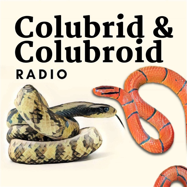 Artwork for Colubrid & Colubroid Radio