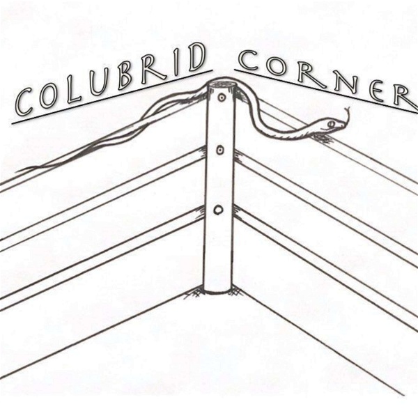 Artwork for Colubrid Corner