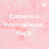 Comercio Internacional, Puga.