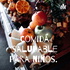 Comida saludable para niños.