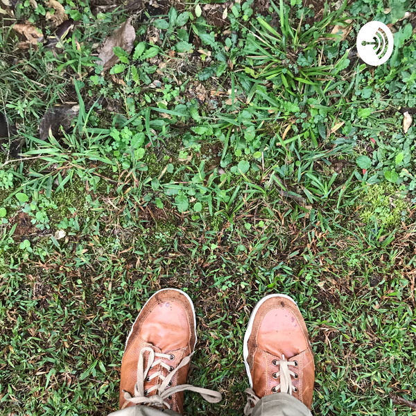 Artwork for Coming and Going: a daily story