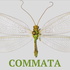 Commata: Communication Theory and Research