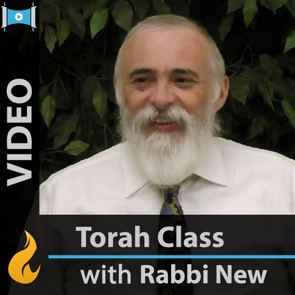 Artwork for Commentaries on the Torah