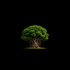 Commit to growth
