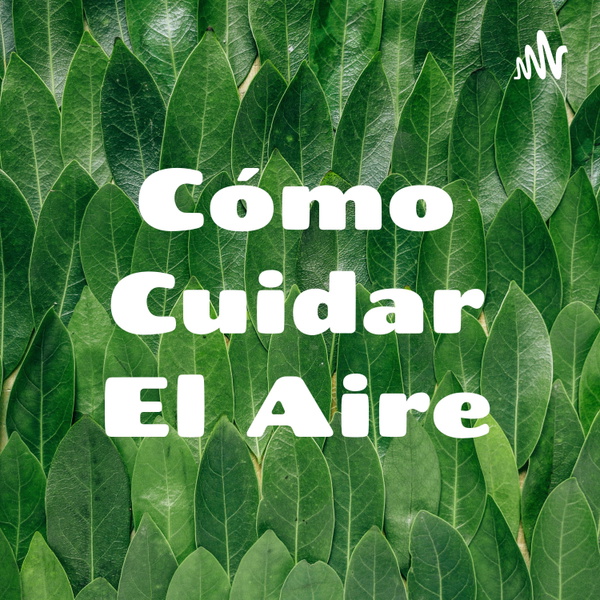 Artwork for Cómo Cuidar El Aire
