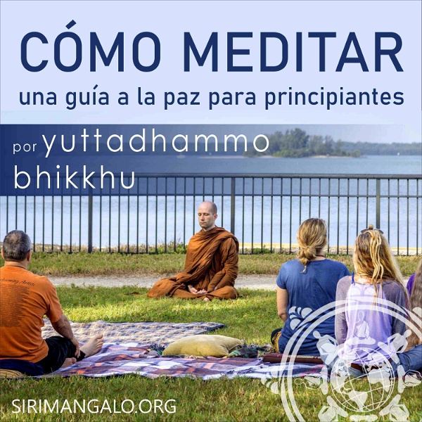 Artwork for Cómo meditar: una guía a la paz para principiantes