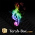 Compilations musicales Torah-Box