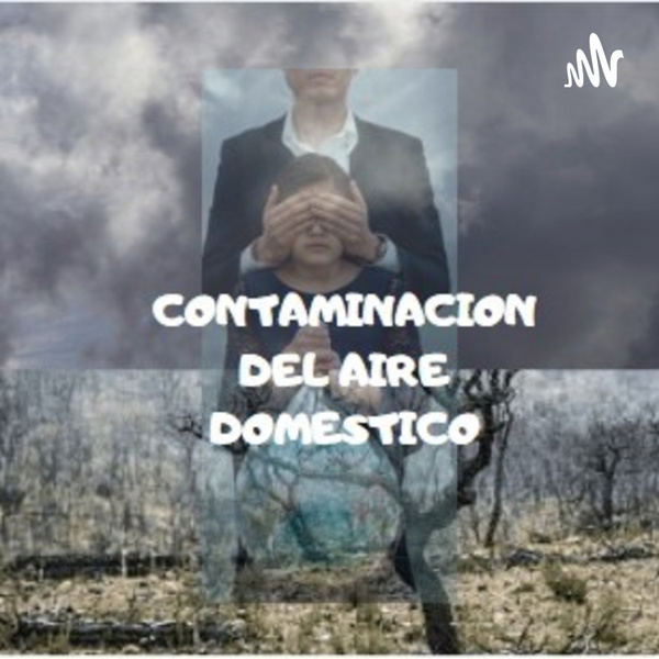 Artwork for Comtaminacion Del Aire Domestico