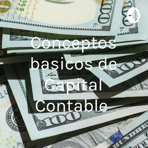 Artwork for Conceptos basicos de Capital Contable