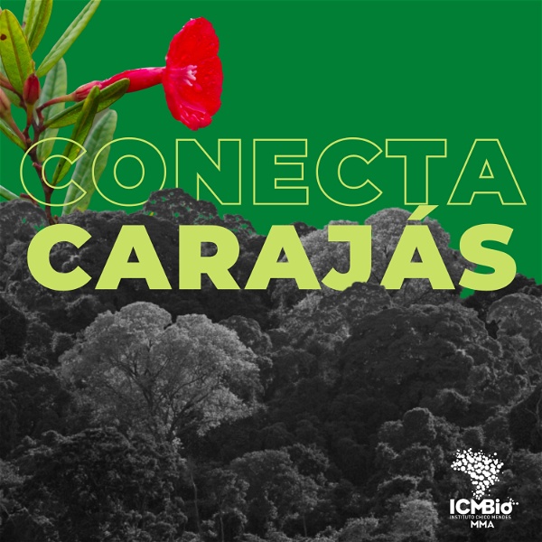 Artwork for Conecta Carajás