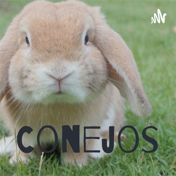 Artwork for Conejos