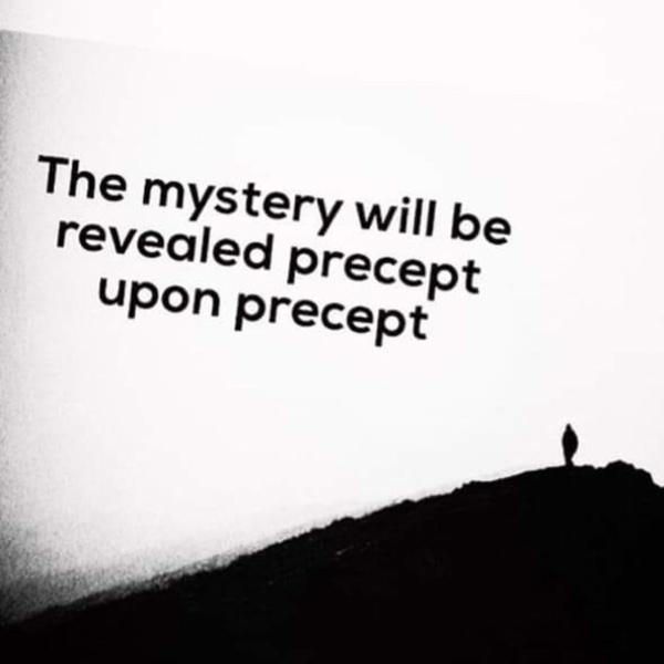 Artwork for Confession is necessary.