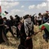 Conflicto Israel Y Palestina