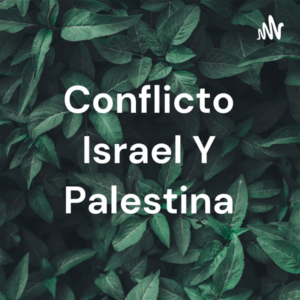 Artwork for Conflicto Israel Y Palestina
