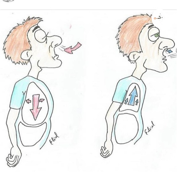 Artwork for Conheça o Seu Sistema Respiratório