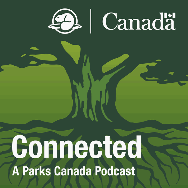 Artwork for Connected