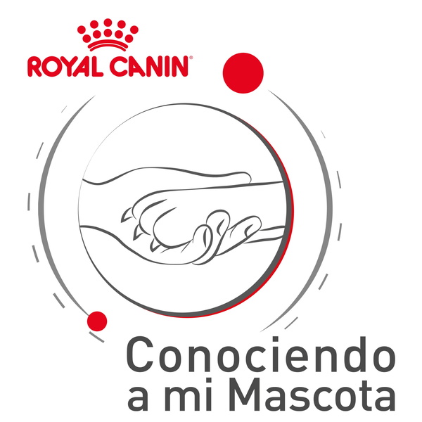 Artwork for Conociendo a mi mascota by Royal Canin