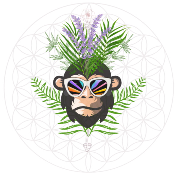 Artwork for Conscious Humaning