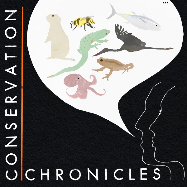 Artwork for Conservation Chronicles