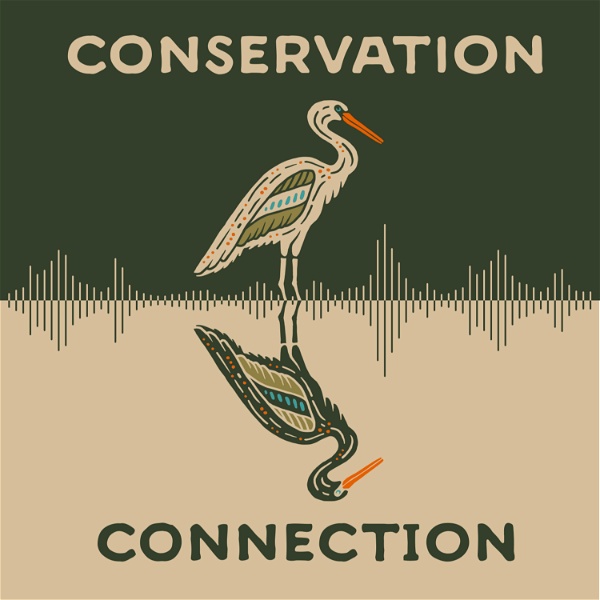 Artwork for Conservation Connection
