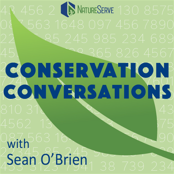Artwork for Conservation Conversations