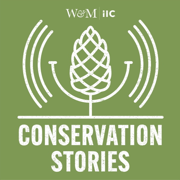 Artwork for Conservation Stories