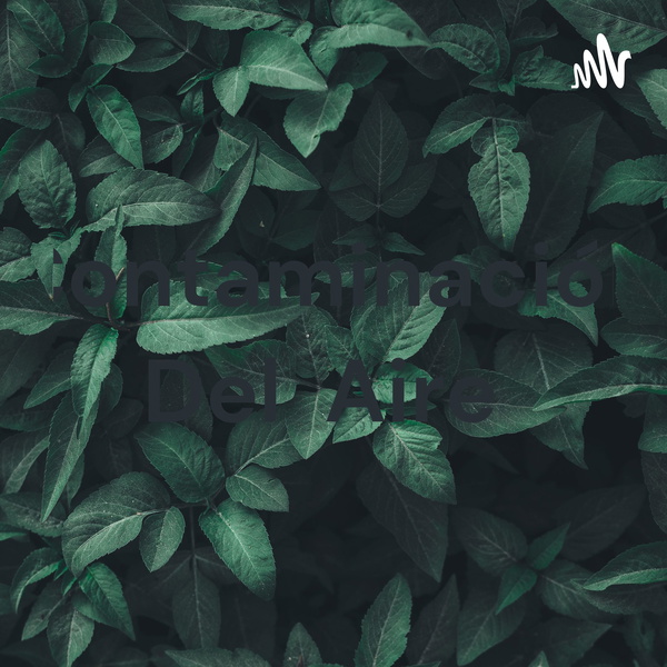 Artwork for Contaminación Del Aire