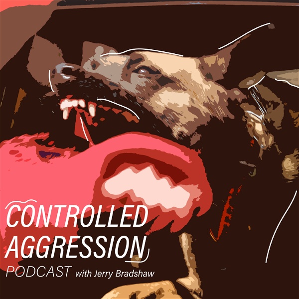 Artwork for Controlled Aggression