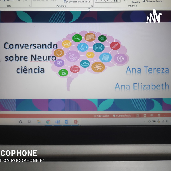Artwork for Conversa Sobre Neurociência