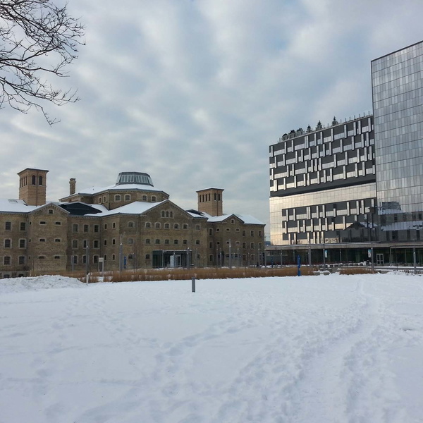 Artwork for Conversations in Complexity