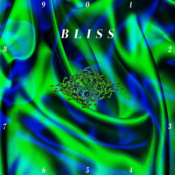 Artwork for Conversations on B L I S S