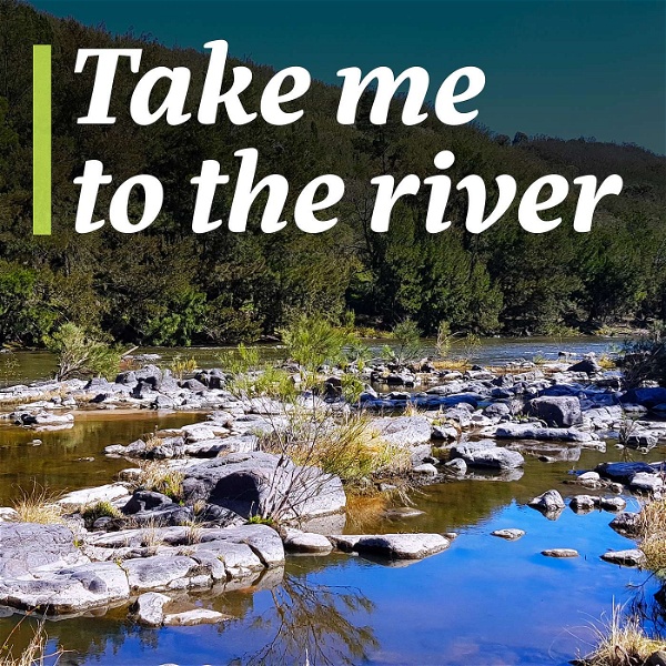 Artwork for Take me to the River