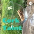 Cork Taint