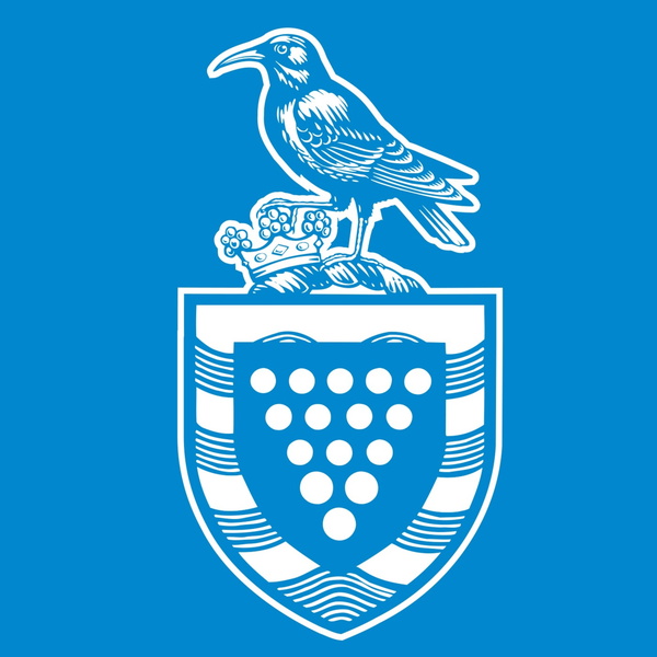 Artwork for Cornwall Council