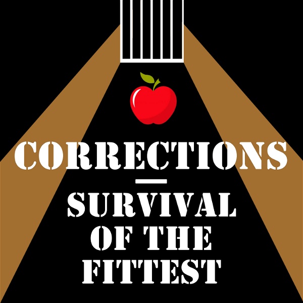 Artwork for Corrections