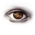 Cosmic Diaries Astrology