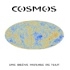 Cosmos, une brève histoire de tout
