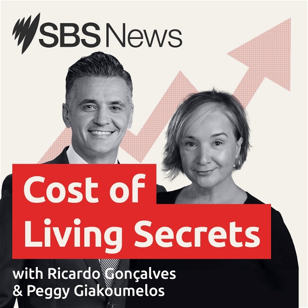 Artwork for Cost of Living Secrets