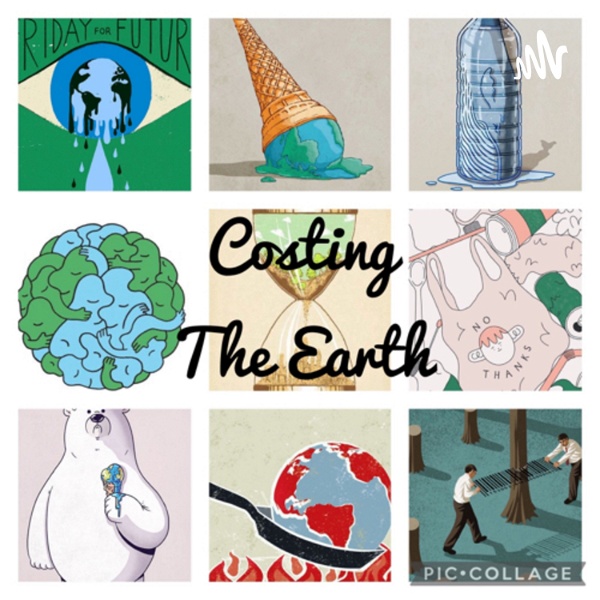 Artwork for Costing The Earth