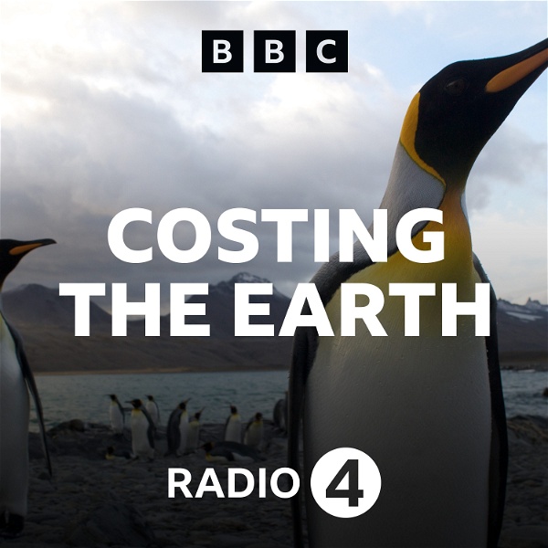 Artwork for Costing the Earth
